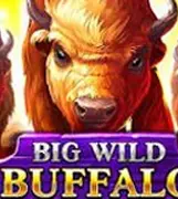 Big Wild Buffalo
